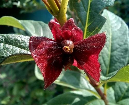 ���������