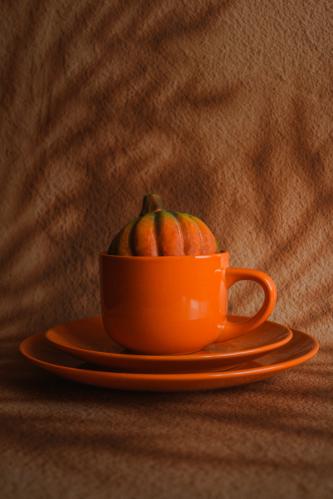 ���������� ��������: 