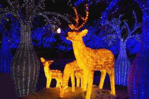 ��������� ��������