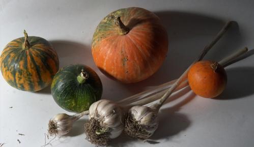 ������� ������.