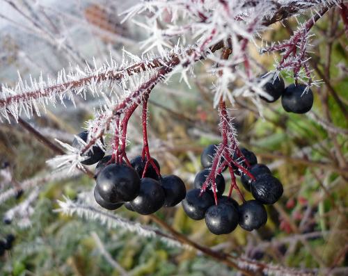 ���������� ������ ��������