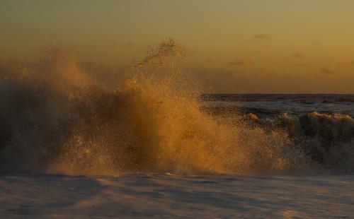 ������� ����