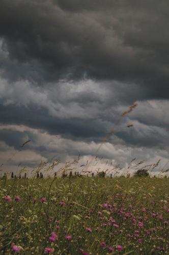 ����� ������ 