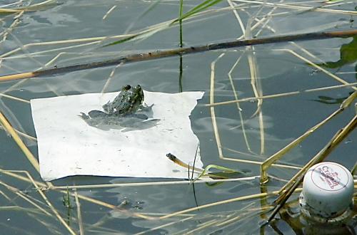 �� ��������� �����...