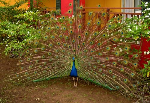 ��������...