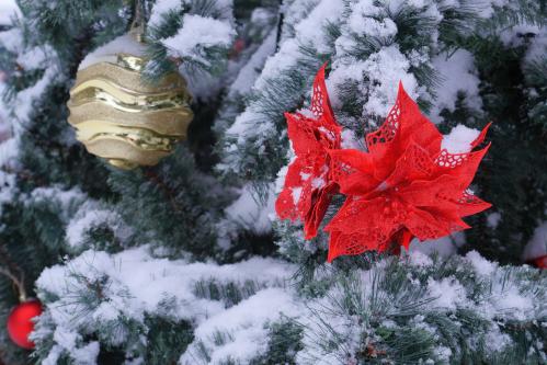 ���� �������� � ������� ������ ...