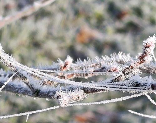 �� �������� ���� �����������