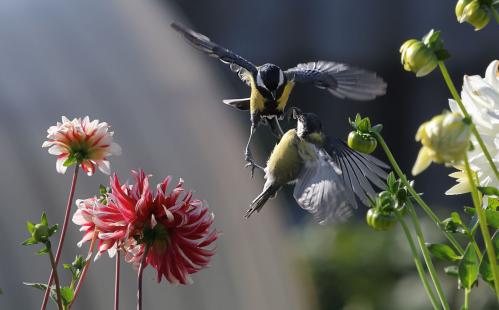 �� ��������...