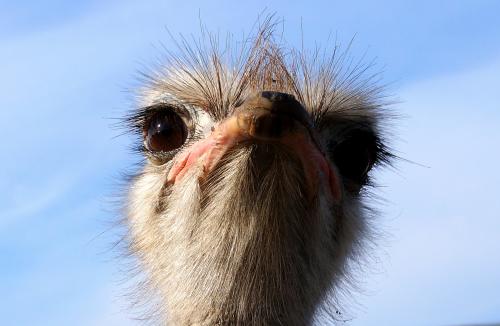 ���  �����  �������� ...