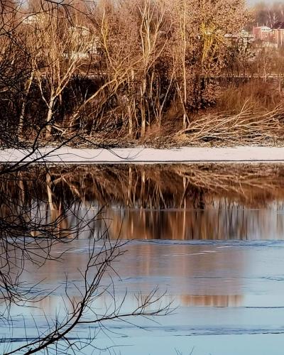 � ������� ��������