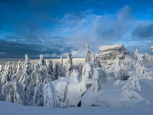 ������� ����