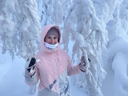 � ������ � ����