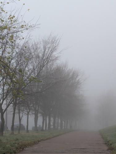 �������� ���� ������