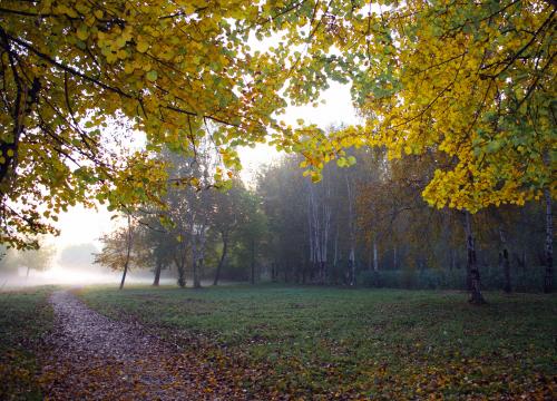 �������� ������