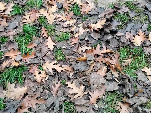 ������� ������