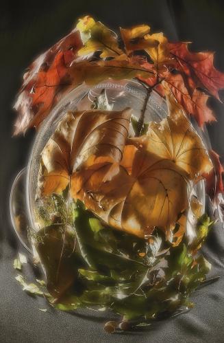 ������� �����.