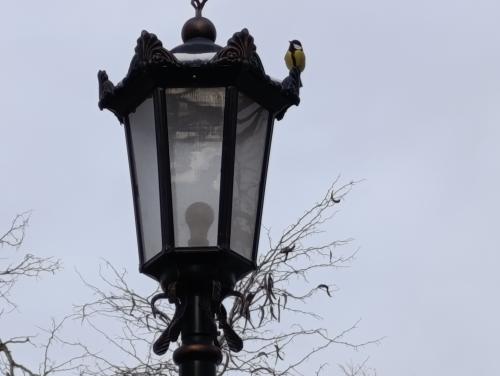 ������ ��������� ����