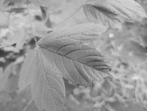 �� ���� ���������