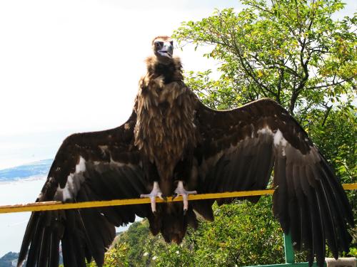 �� ������