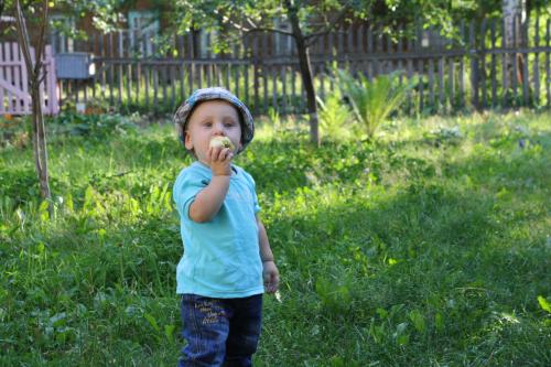 � �������