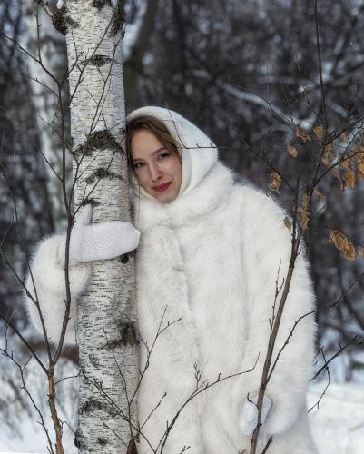 ������ ������