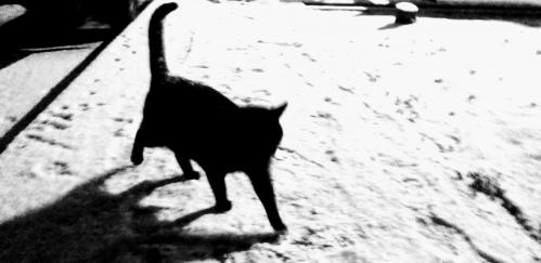 ����� ����� ����������!