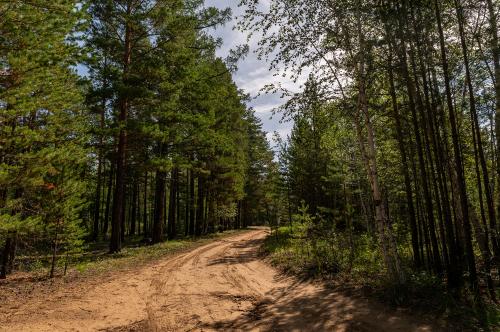 ������ ������.