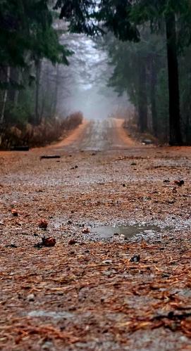 ������ ������ � �����