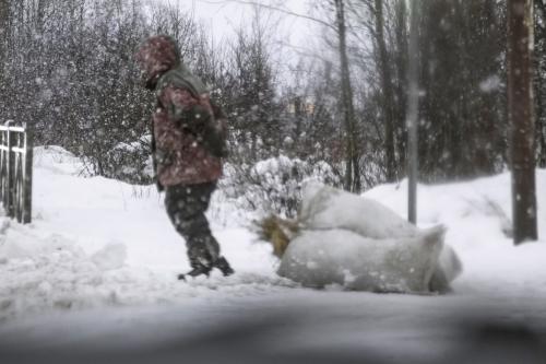 ���� ���������