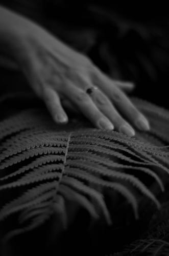 �������������