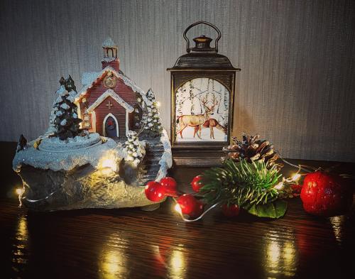 � �������� ����