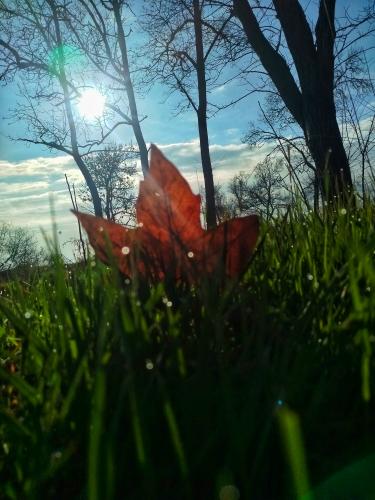 ��������� �������� ������ 