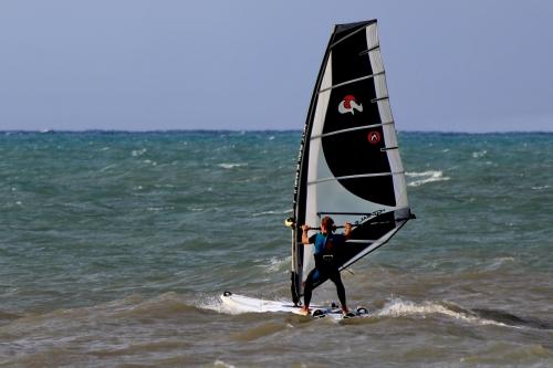 ����������. 