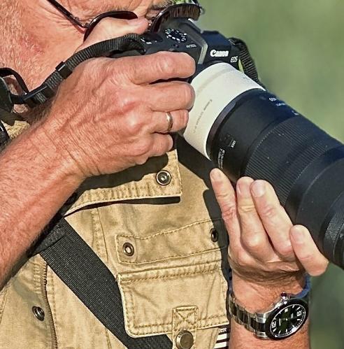 ���� ���������