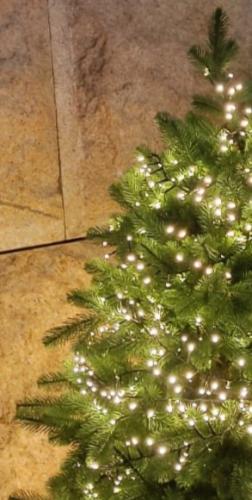 ���������� ����