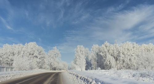 ������ ������