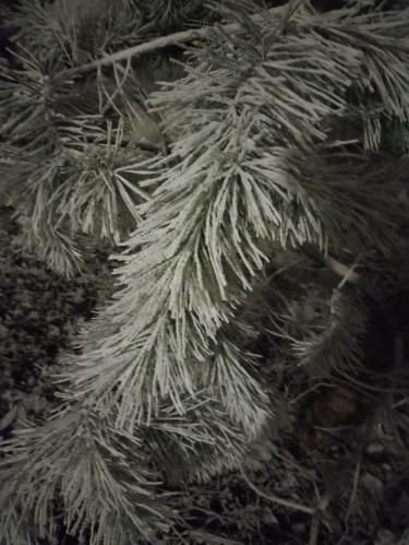 �������� ����� 