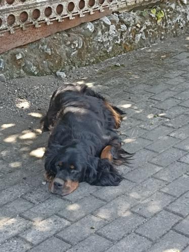 ����  ���� �������