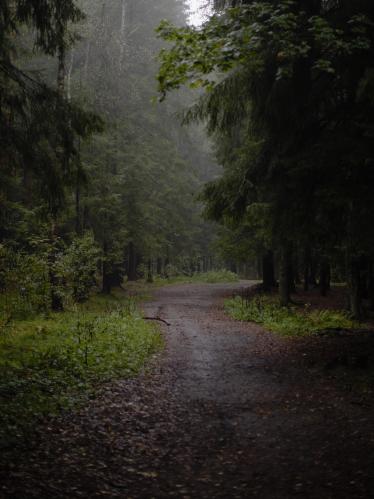 �������� ����� �����