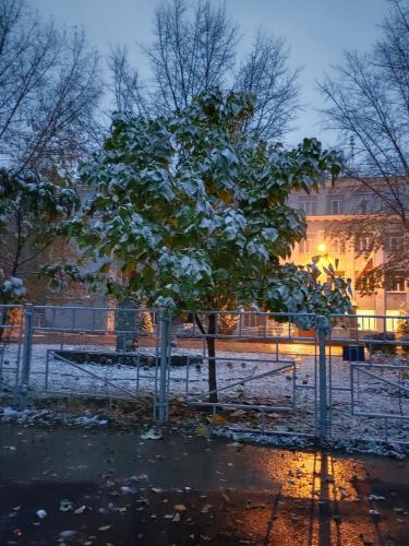 ������ ����