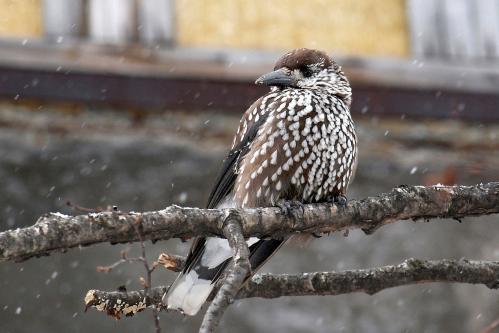 �������� � ������...