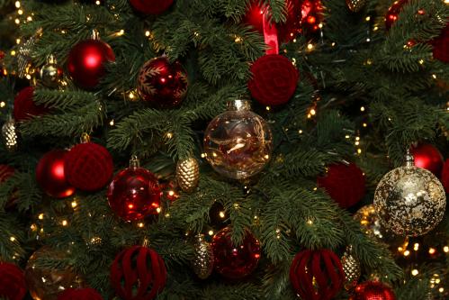 ������ ����