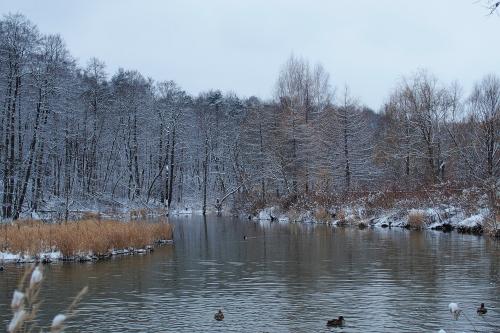 ��������� ���� �� ���� �����.