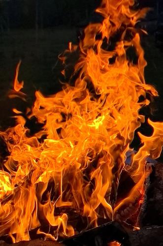 ����� ����