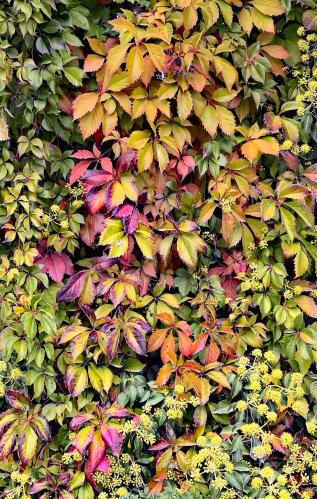 ������������ ����