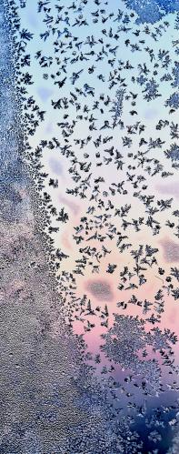 ������� ������