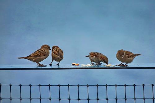 � ����� � ��� ��� �������.. 