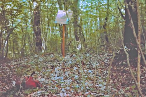 ����� ������� ��7 �������� � ���������