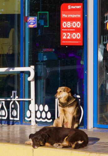 � ��������