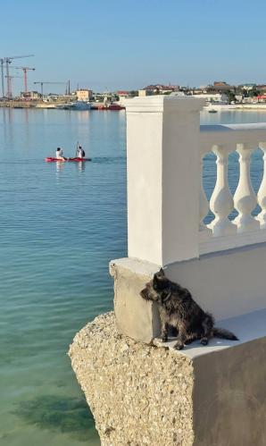 � ��������